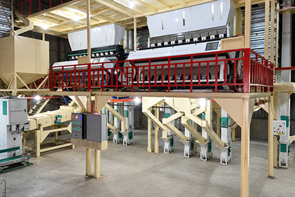 Advanced Processing & Quality Control