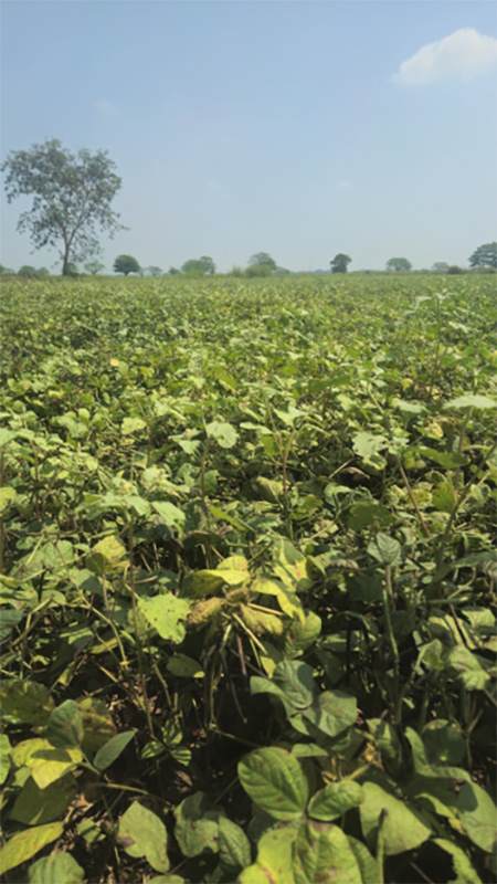 farming-sourcing-20260925033519.jpg