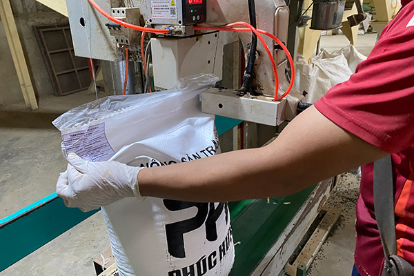 Packaging & Shipment Inspection