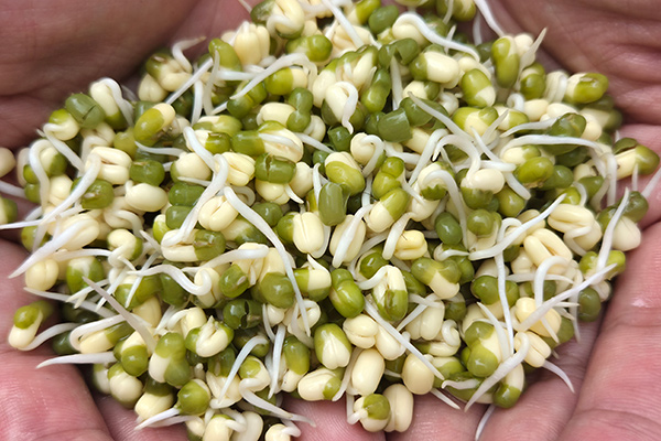Sprouting Performance Verification