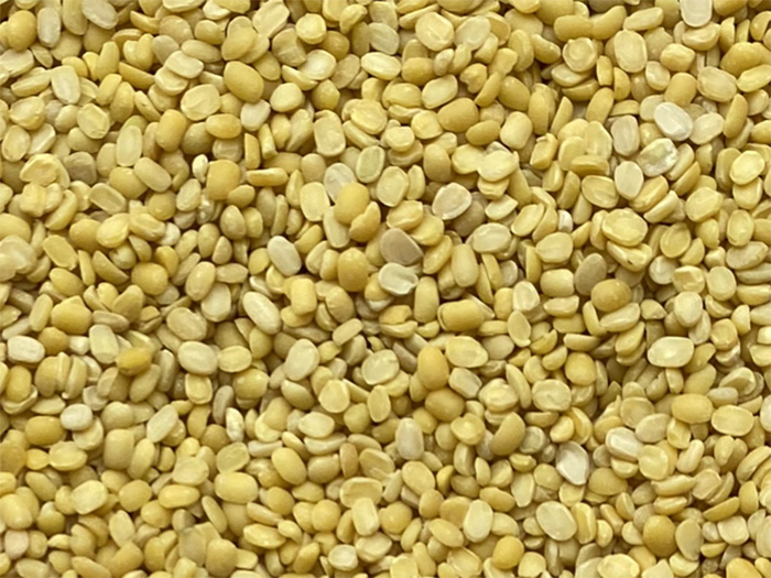 Green Mung Bean Huskless Split Variety of Size