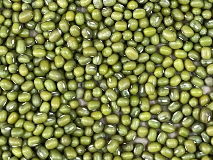 Green Mung Bean Polish Sprouting Grade