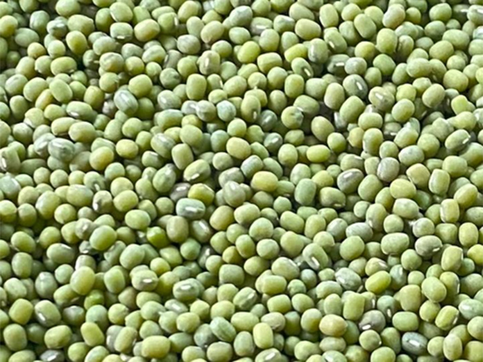 Green Mung Bean Unpolish (Wakema)