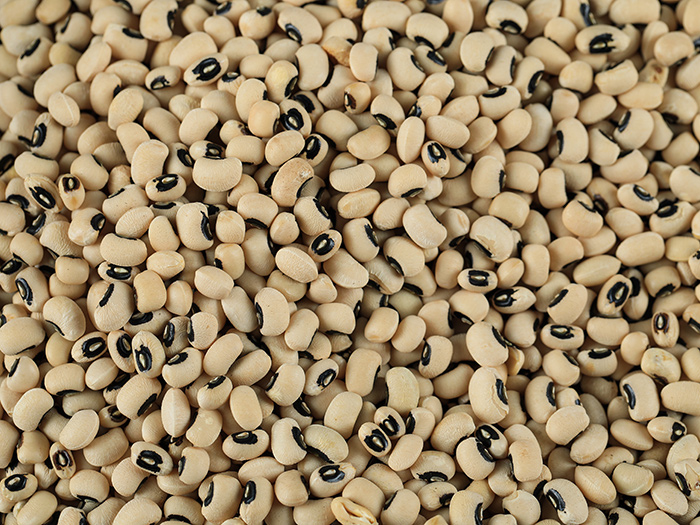 Black Eyed Bean