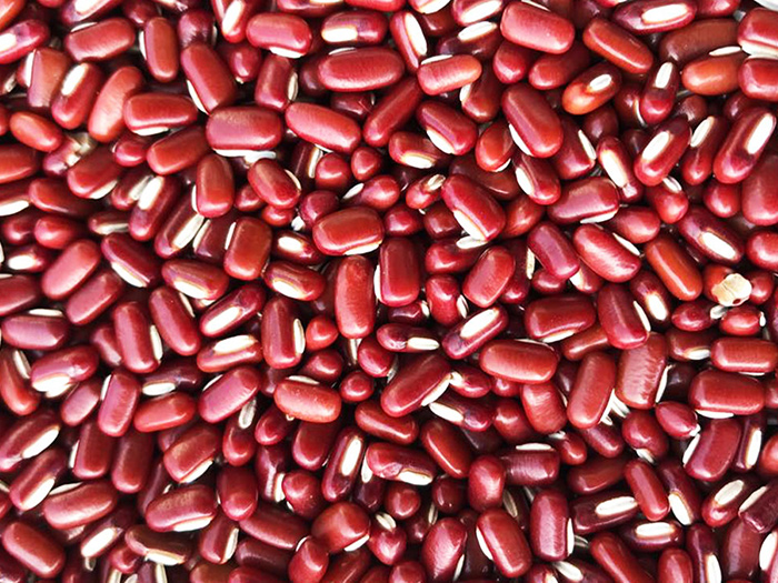 Red Bamboo Bean